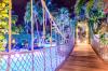 /images/products/7727/hilton-resort--spa-rose-hall-waterpark-bridge-night_mbr_thumbnail.jpg